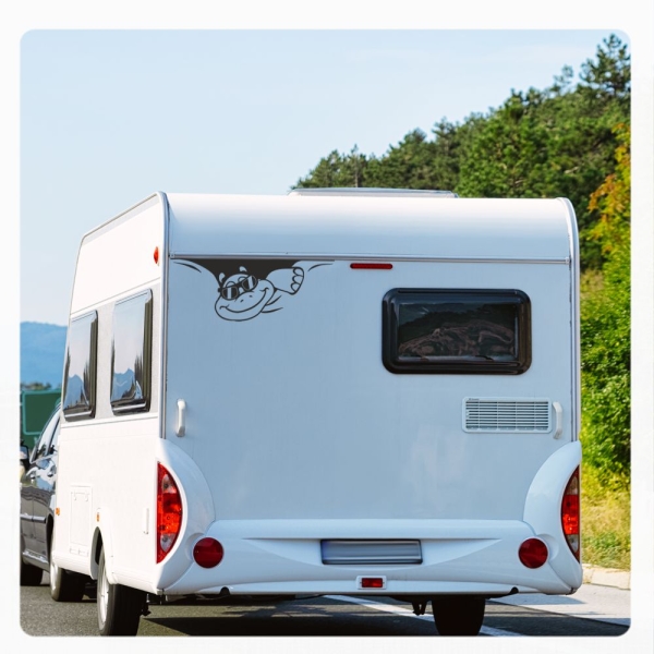 Schildkröte Sticker Aufkleber Autoaufkleber Cool Sonnenbrille Wohnmobil Aufkleber WoMo107